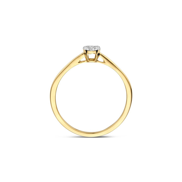 Blush Diamonds Ring 14k Gelbgold und Weissgold - 1680BDI