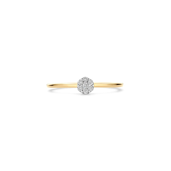 Blush Diamonds Ring 14k Gelbgold und Weissgold - 1680BDI