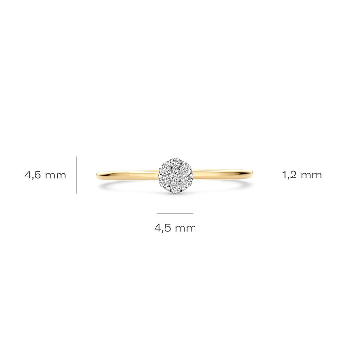 Blush Diamonds Ring 14k Gelbgold und Weissgold - 1680BDI