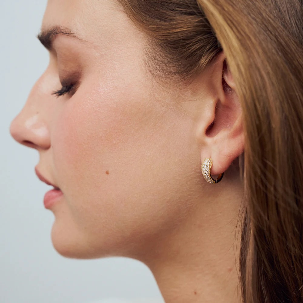 Sif Jakobs Goccia Circolo Ohrringe - SJ-E2753-CZ-YG