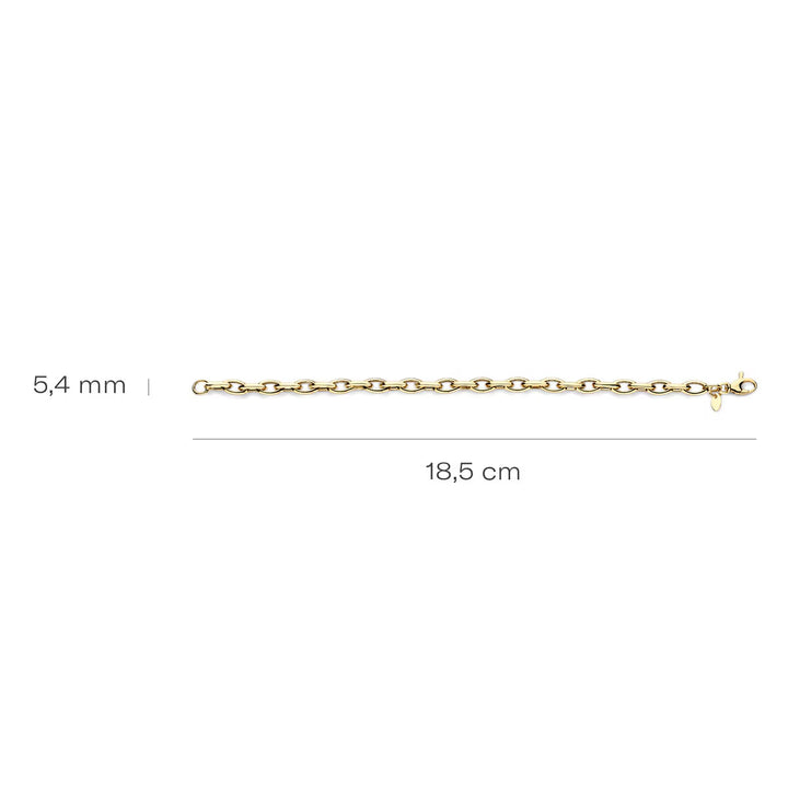Blush Armband 14k Gelbgold - 2263YGO