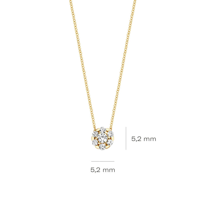 Blush Halskette 14k Gelbgold - 3097YZI