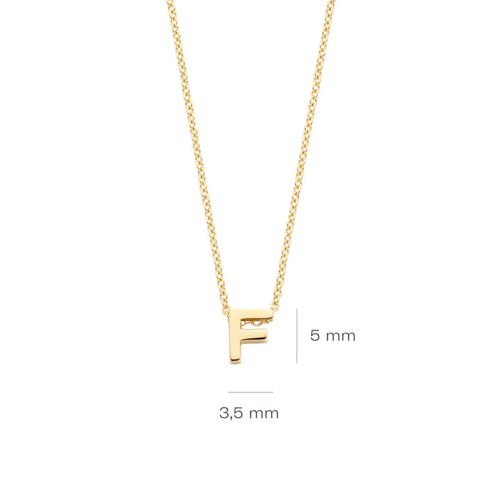 Blush Halskette 14k Gelbgold - 3155YGO_F