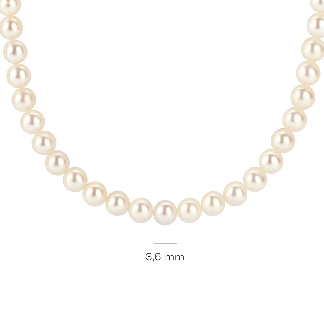 Blush Halskette 14k Gelbgold - 3184YPW