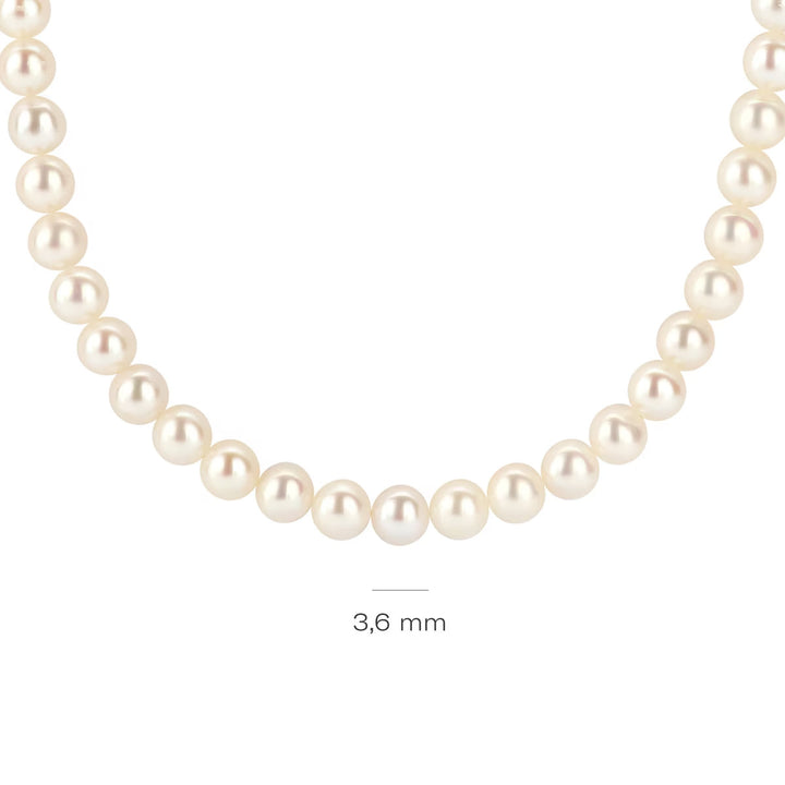 Blush Halskette 14k Gelbgold - 3184YPW