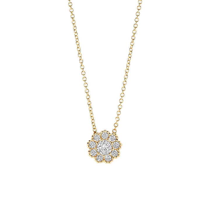 Blush Collier Or jaune 14 carats - 3196YZI