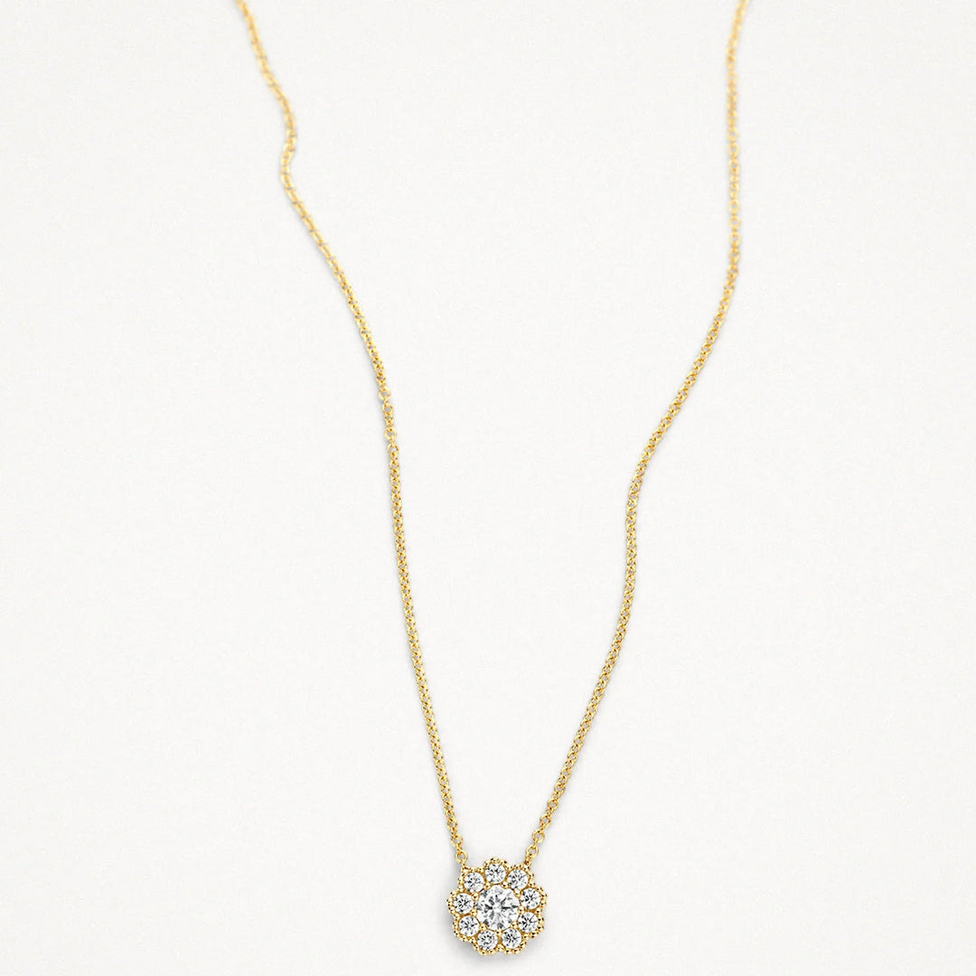 Blush Halskette 14k Gelbgold - 3196YZI