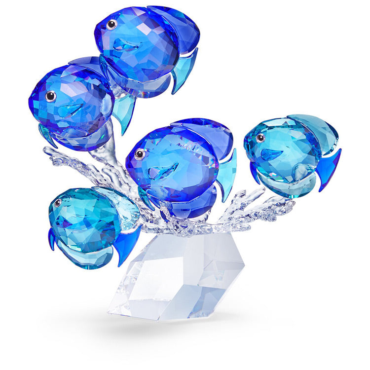 Swarovski Fischschwarm - 5493705