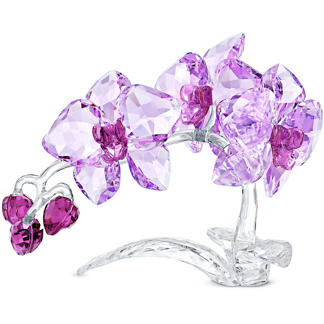 Swarovski Crystal Flowers Orchid - 5520373