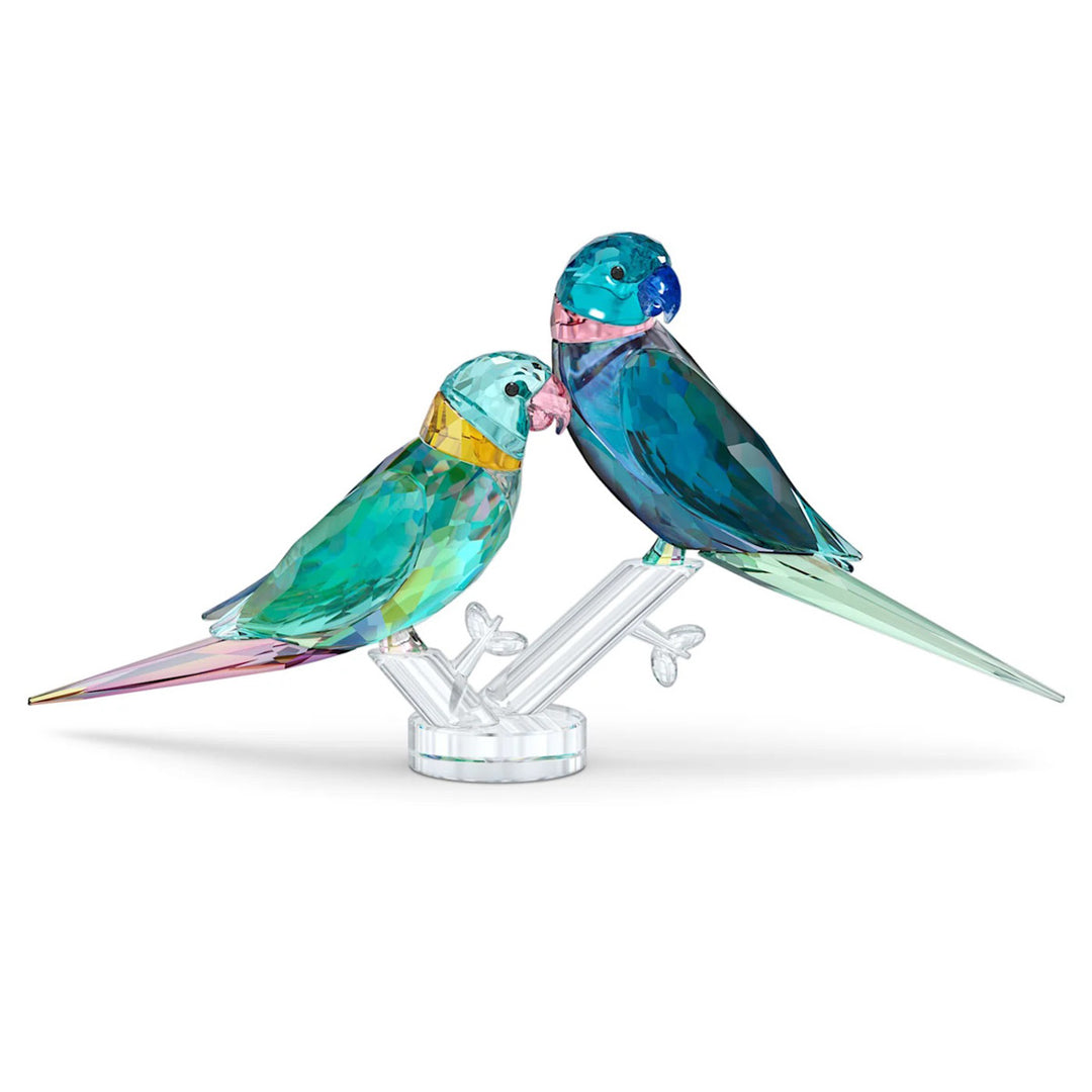 Swarovski Jungle Beats Parakeet Couple - 5577124