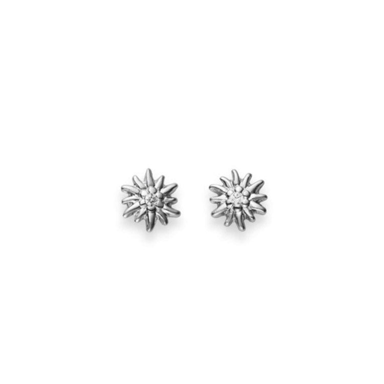 HK Silver Classics Ohrstecker Edelweiss - 6262.03157/0001
