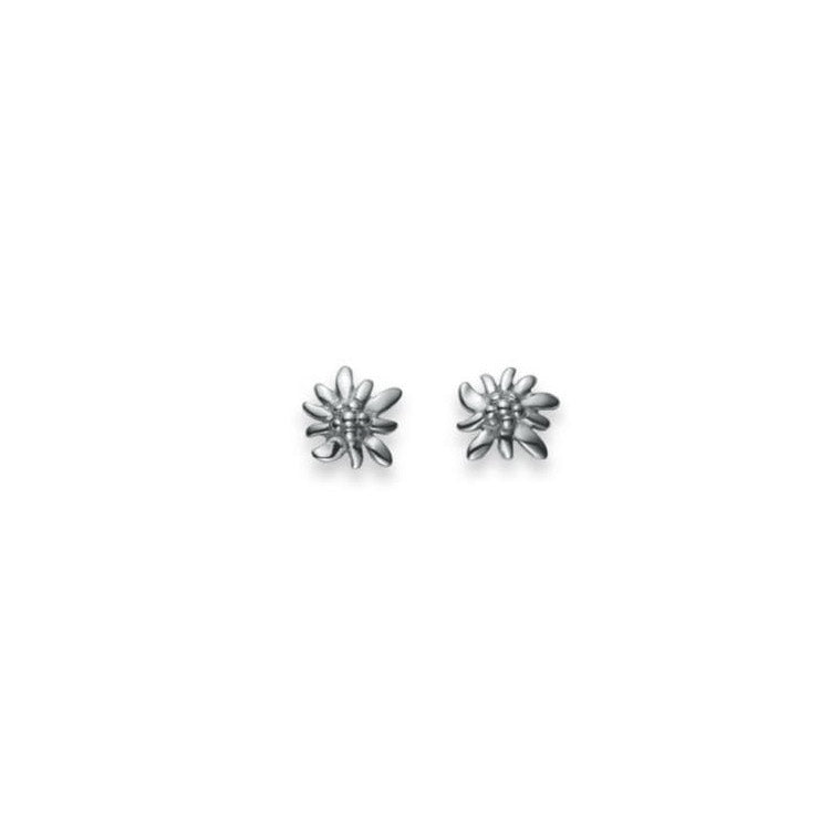 HK Silver Classics Ohrstecker Edelweiss