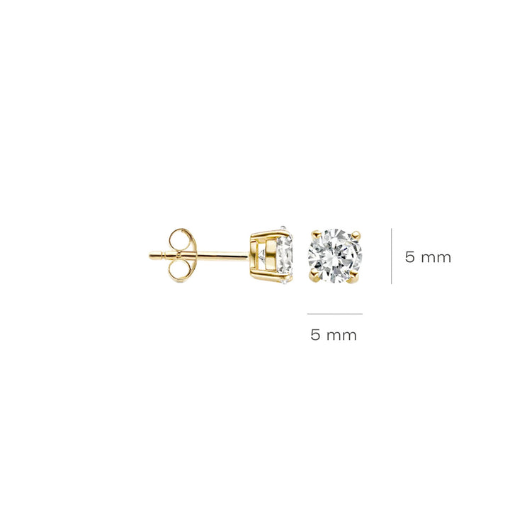 Blush Ohrstecker 14k Gelbgold - 7053YZI