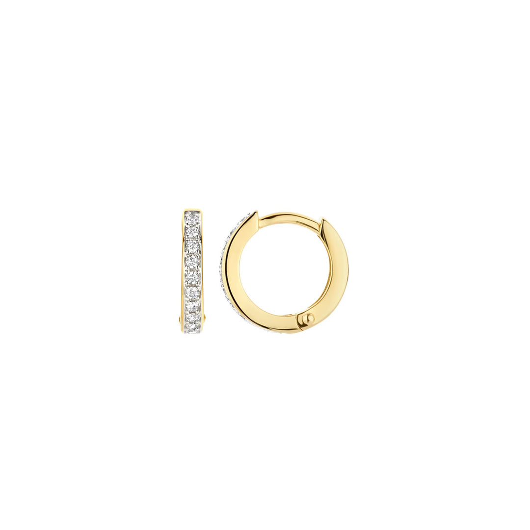 Blush Ohrringe 14k Gelbgold - 7129BZI