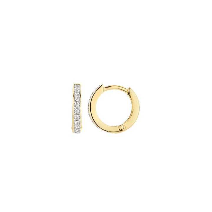 Blush Ohrringe 14k Gelbgold - 7129BZI