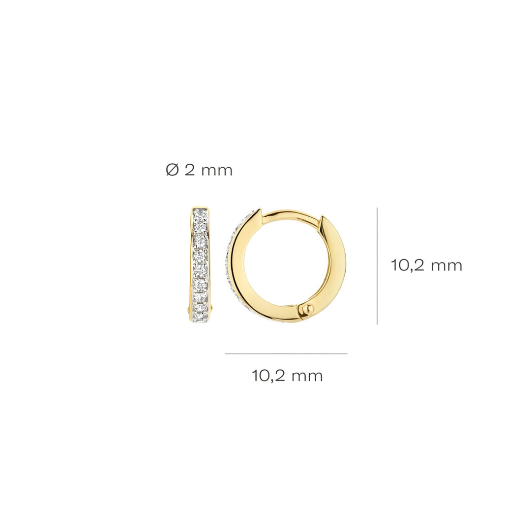 Blush Ohrringe 14k Gelbgold - 7129BZI