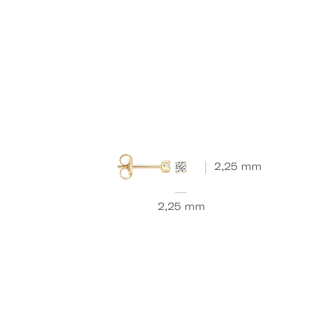 Blush Ohrstecker 14k Gelbgold - 7138YZI