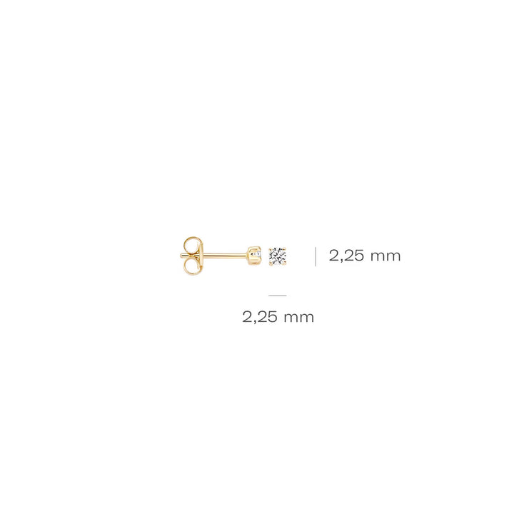 Blush Ohrstecker 14k Gelbgold - 7138YZI