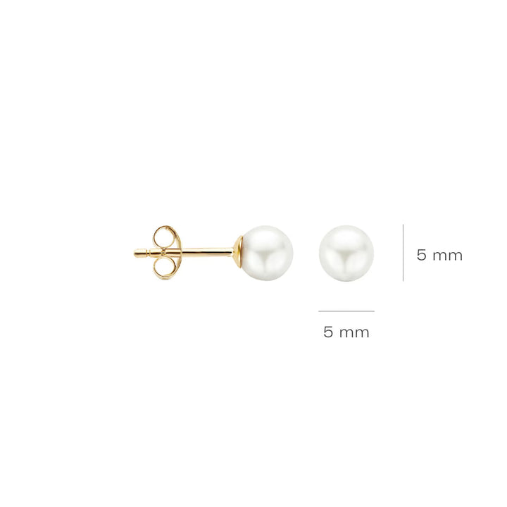 Blush Ohrstecker 14k Gelbgold - 7149YPW