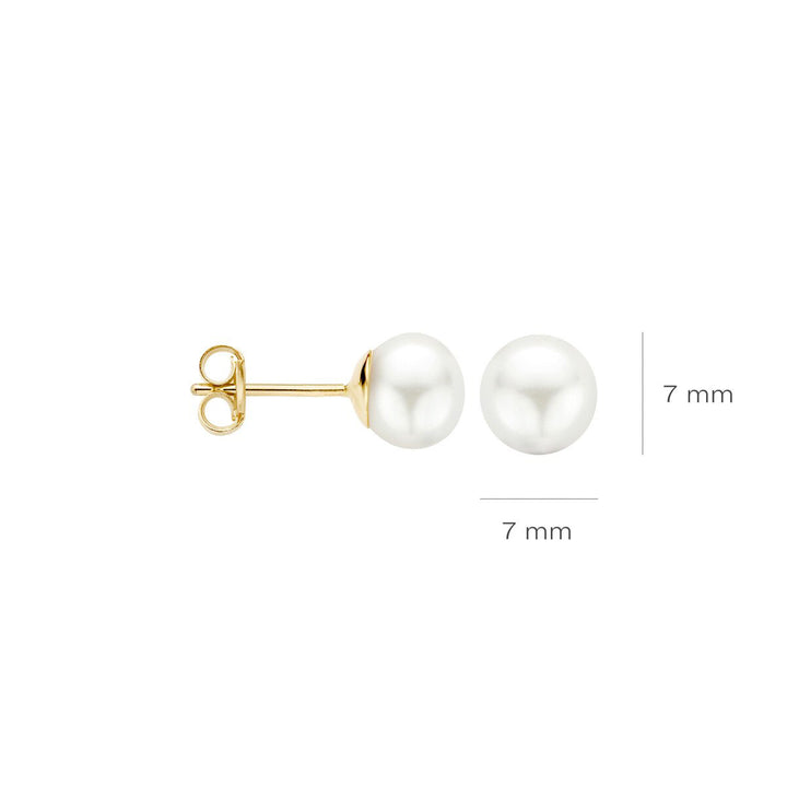 Blush Ohrstecker 14k Gelbgold - 7151YPW