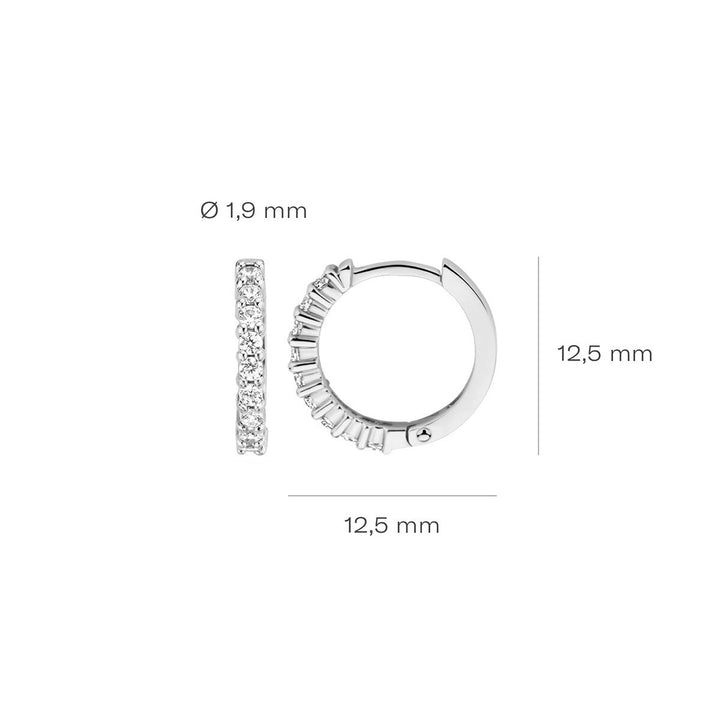 Blush Ohrringe 14k Weissgold - 7166WZI