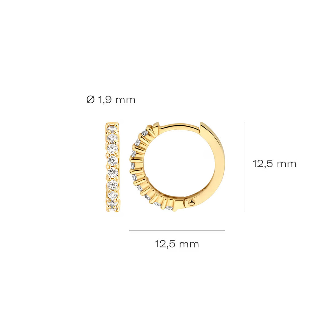 Blush Ohrringe 14k Gelbgold - 7166YZI