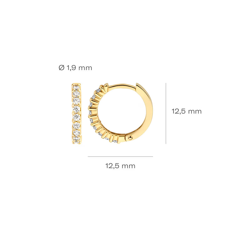 Blush Ohrringe 14k Gelbgold - 7166YZI