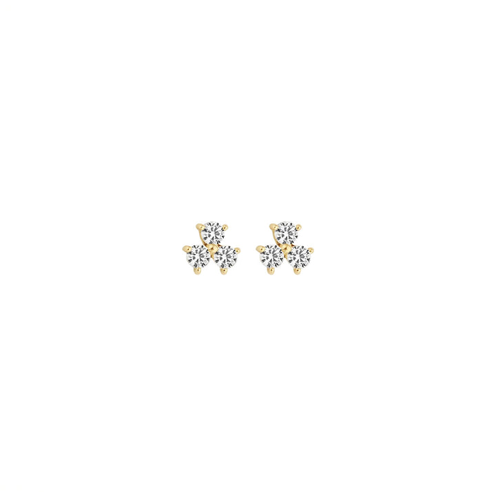 Blush Stud Earrings 14k Yellow Gold - 7197YZI