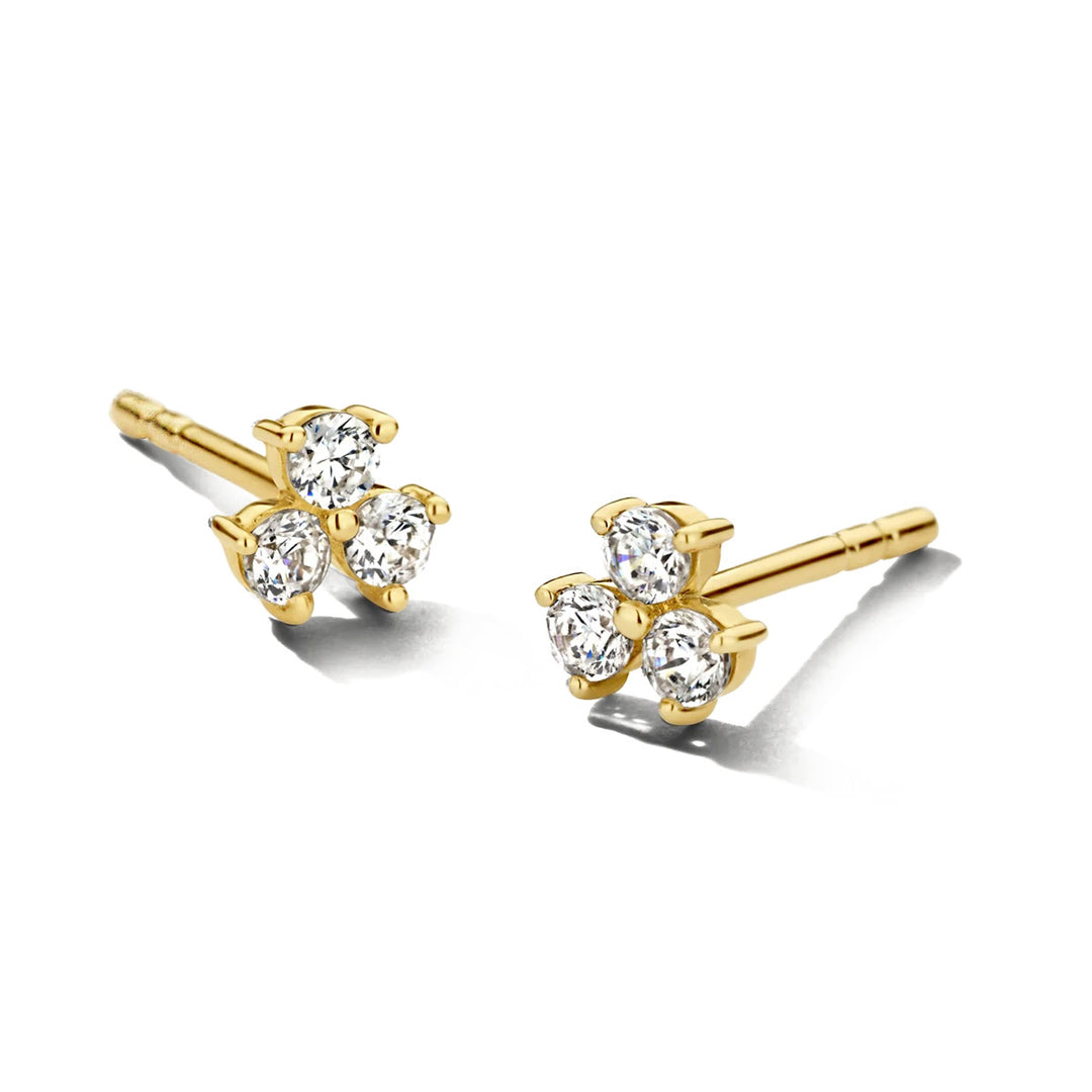 Blush Ohrstecker 14k Gelbgold - 7197YZI