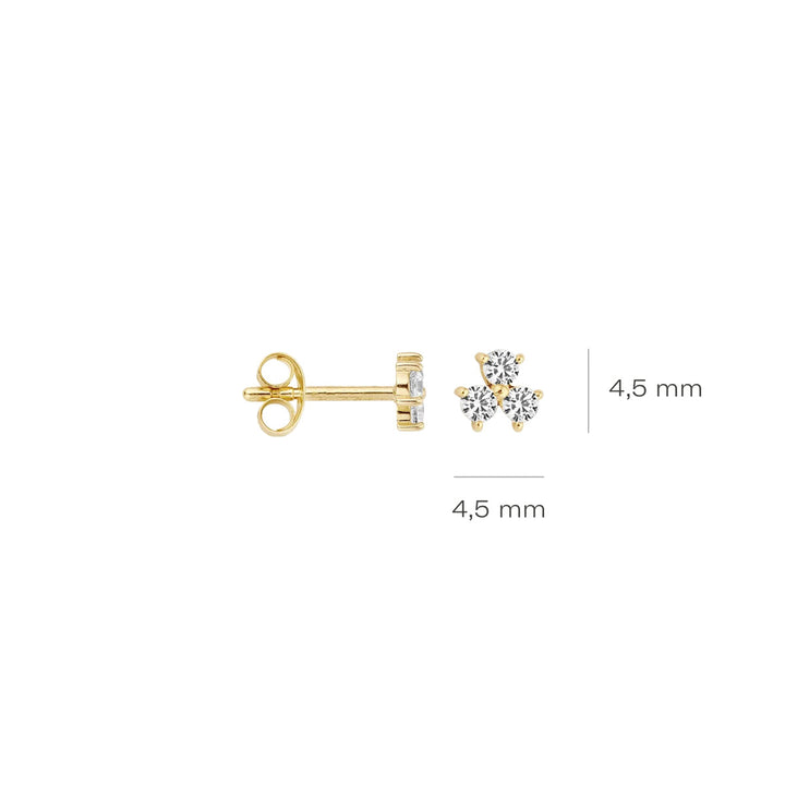 Blush Ohrstecker 14k Gelbgold - 7197YZI