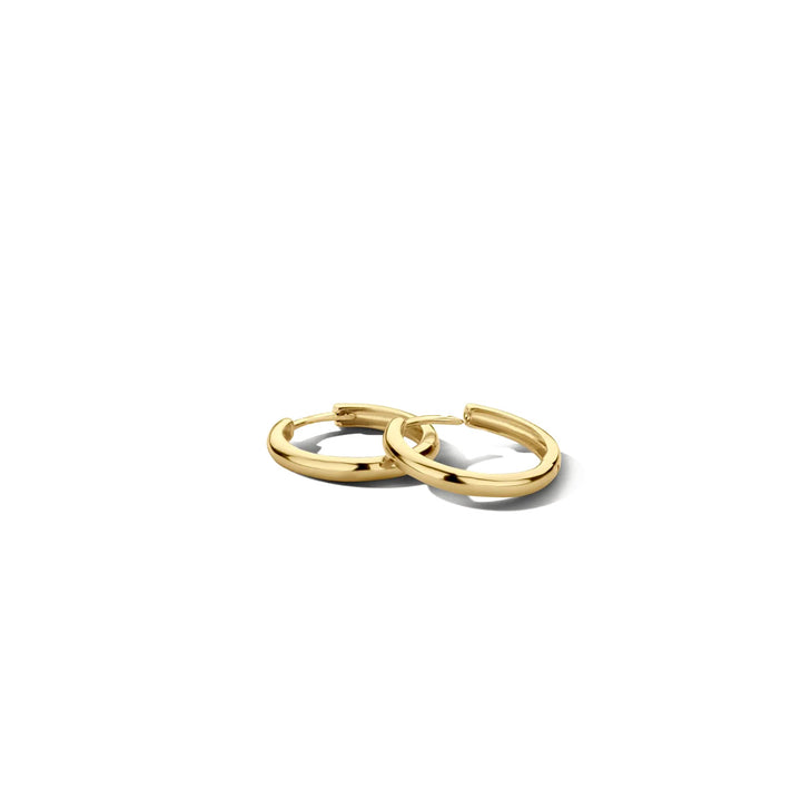 Blush Ohrringe 14k Gelbgold - 7203YGO