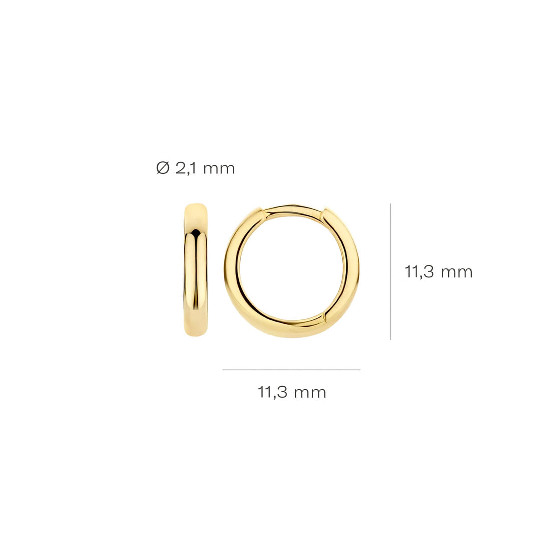 Blush Ohrringe 14k Gelbgold - 7203YGO