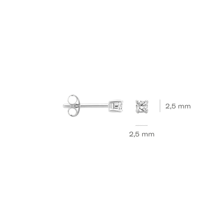 Blush Ohrstecker 14k Weissgold - 7211WZI