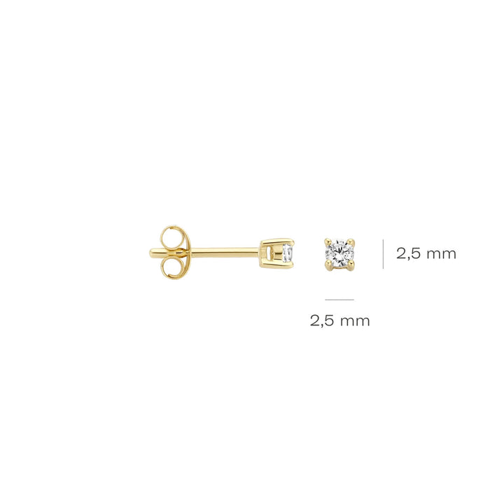 Blush Ohrstecker 14k Gelbgold - 7211YZI