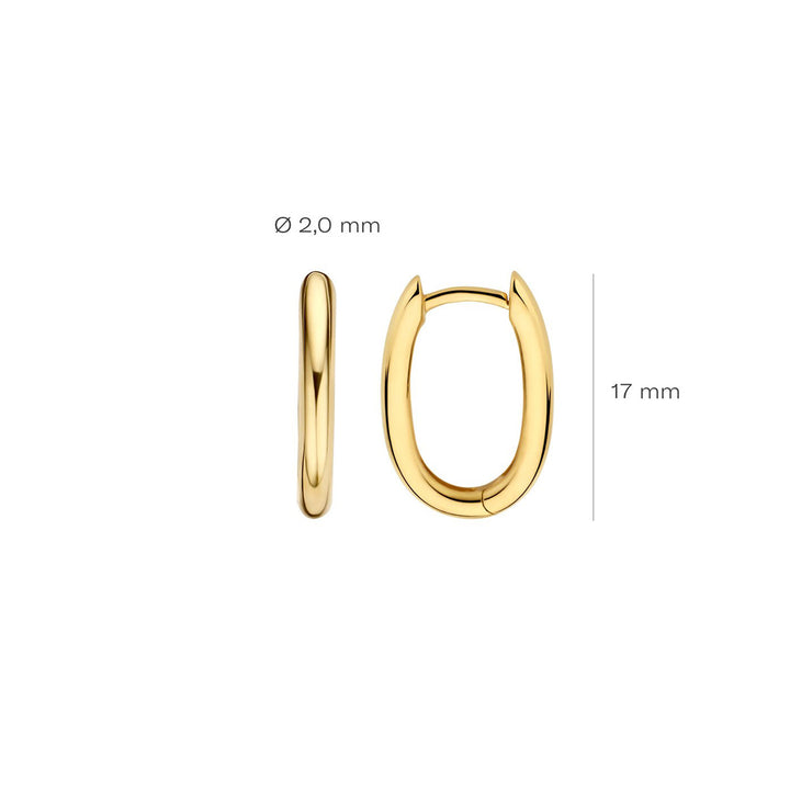 Blush Ohrringe 14k Gelbgold - 7219YGO