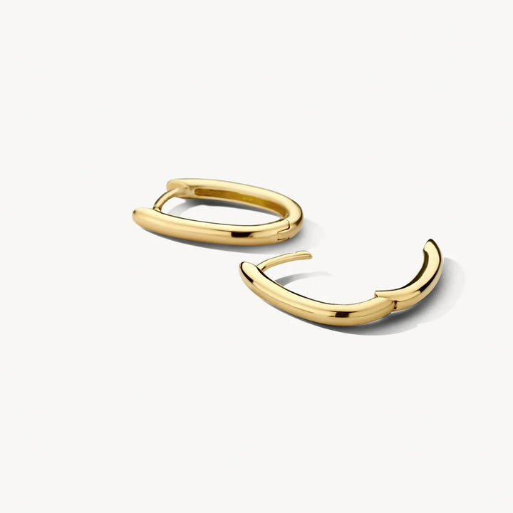 Blush Ohrringe 14k Gelbgold - 7219YGO