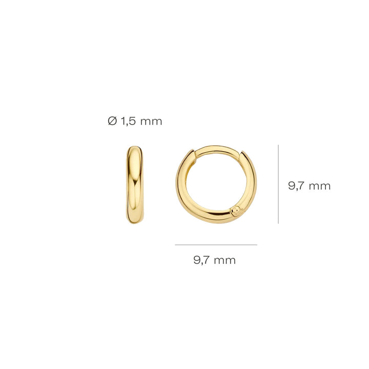 Blush Ohrringe 14k Gelbgold - 7221YGO