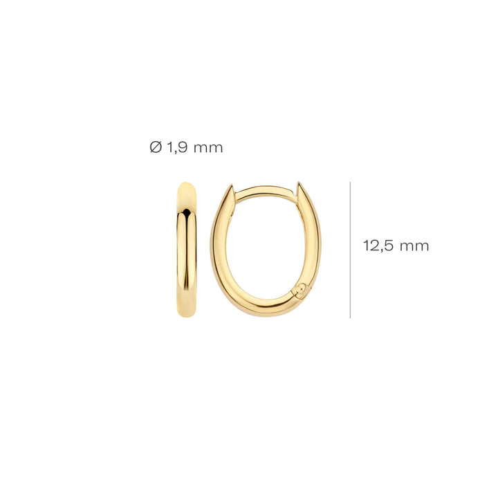 Blush Ohrringe 14k Gelbgold - 7224YGO
