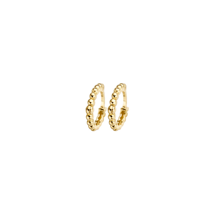 Blush Ohrringe 14k Gelbgold - 7230YGO