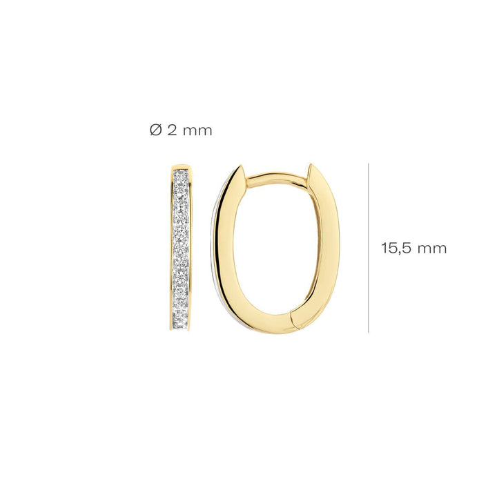 Blush Ohrringe 14k Gelbgold - 7234BZI