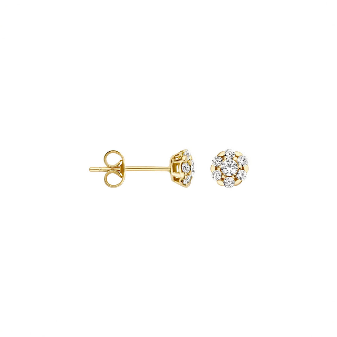 Blush Ohrstecker 14k Gelbgold - 7241YZI