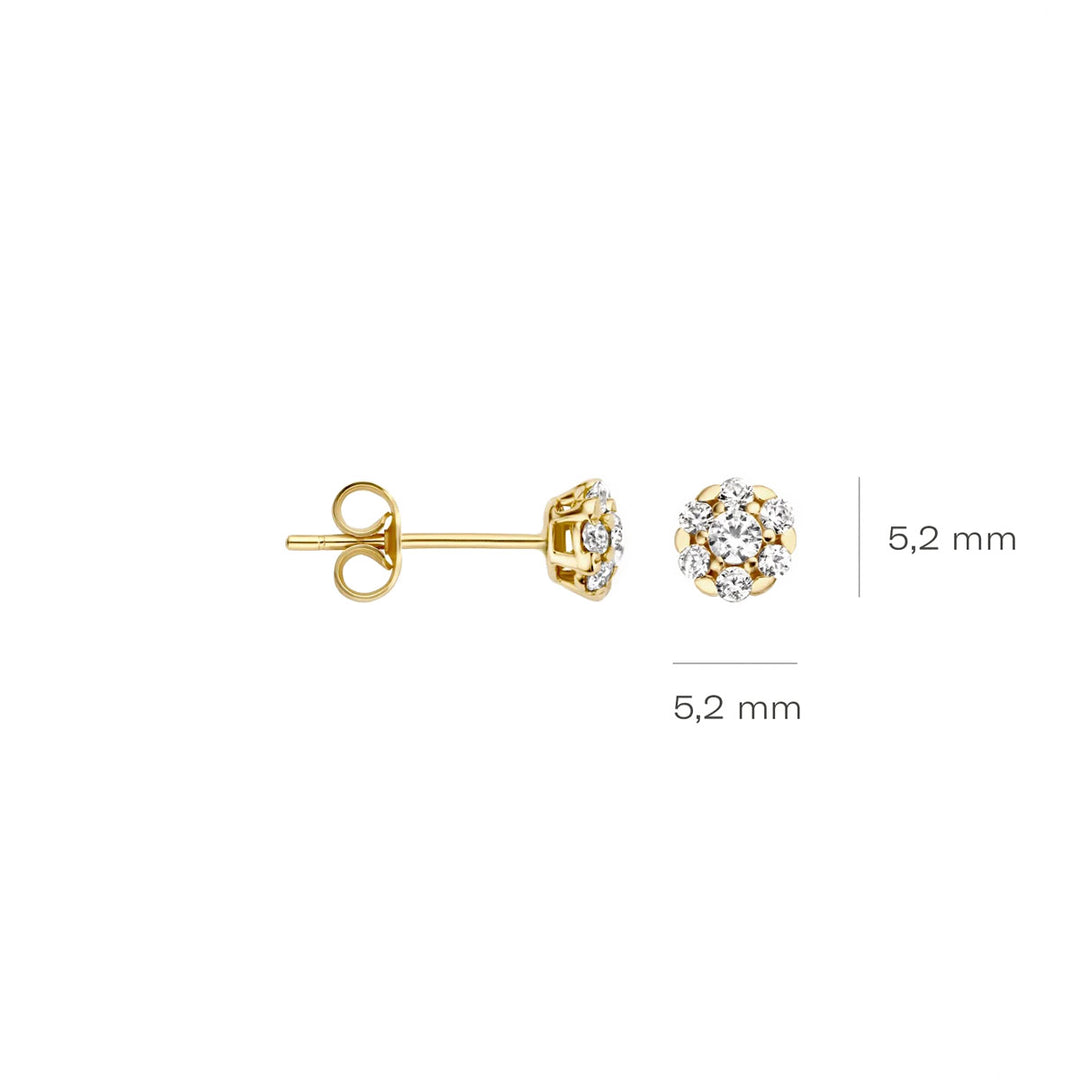 Blush Ohrstecker 14k Gelbgold - 7241YZI