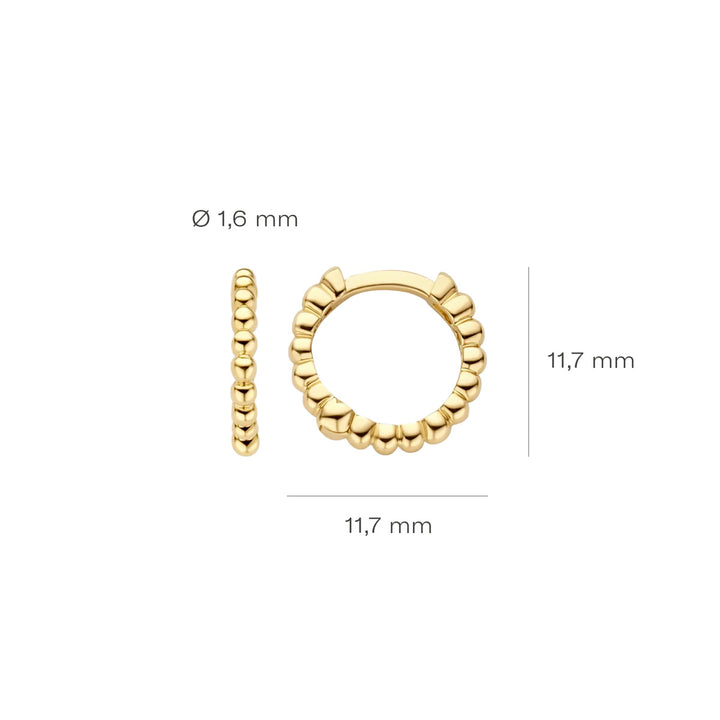 Blush Ohrringe 14k Gelbgold - 7264YGO