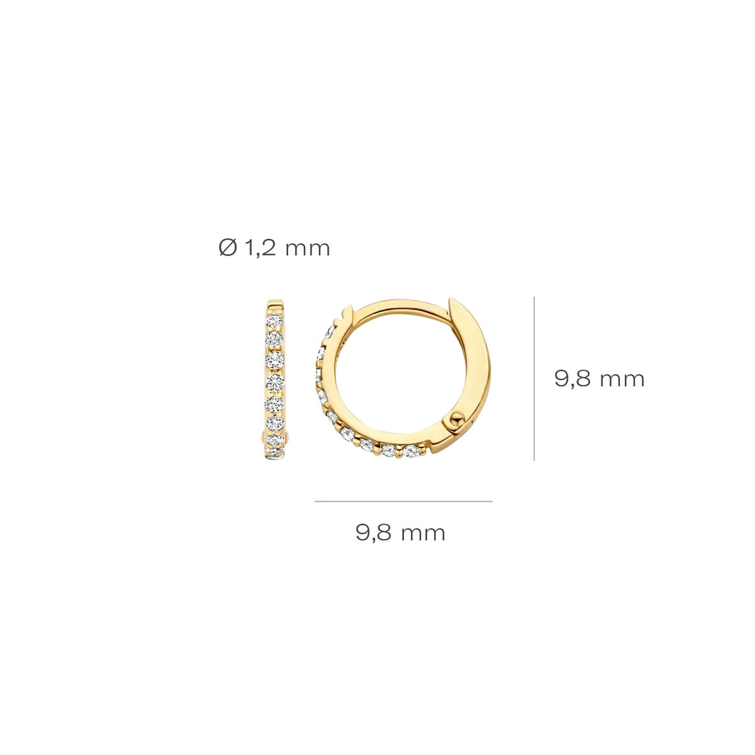 Blush Ohrringe 14k Gelbgold - 7268YZI