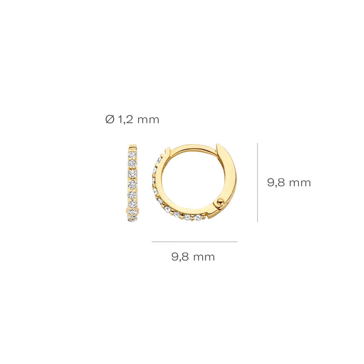 Blush Ohrringe 14k Gelbgold - 7268YZI