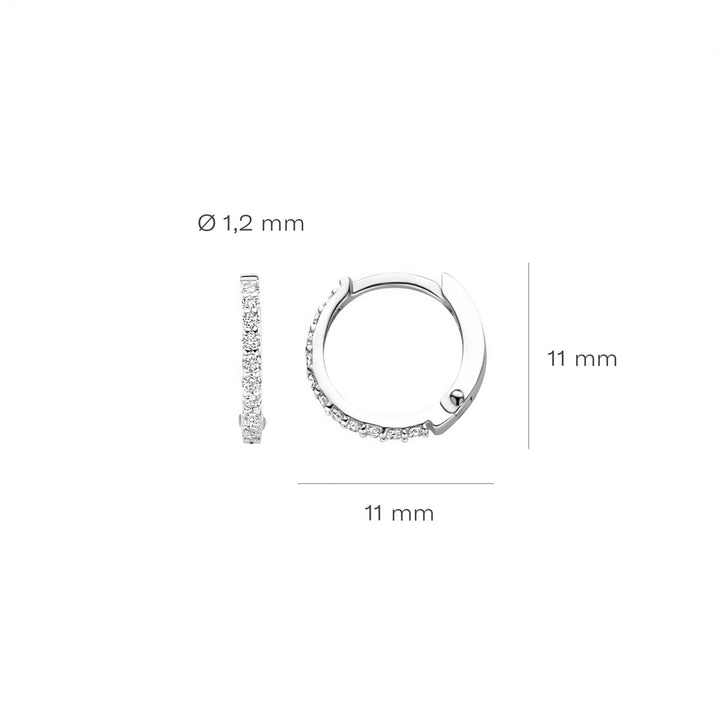 Blush Ohrringe 14k Weissgold - 7269WZI
