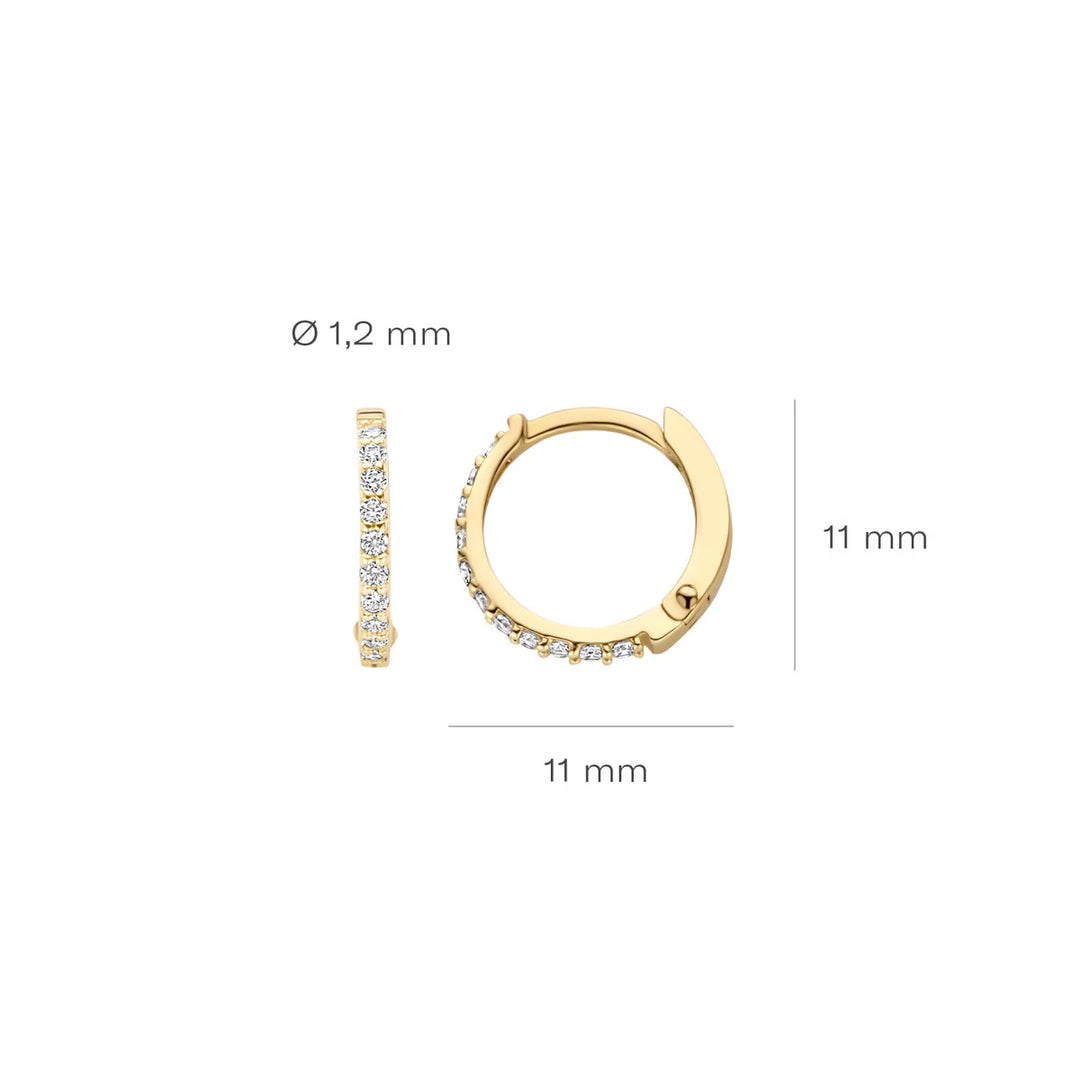 Blush Ohrringe 14k Gelbgold - 7269YZI