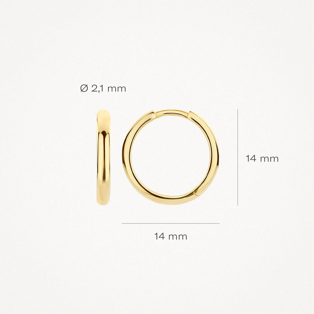 Blush Ohrringe 14k Gelbgold - 7271YGO