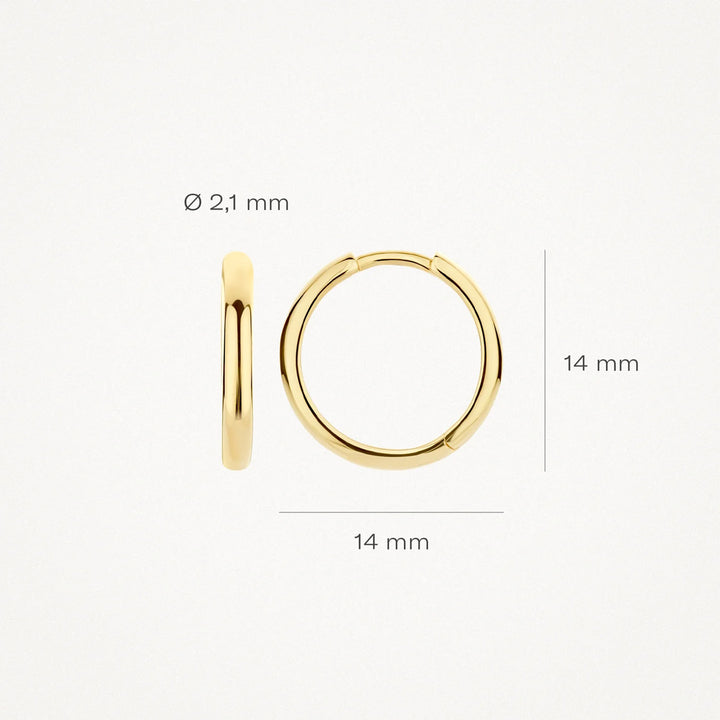 Blush Ohrringe 14k Gelbgold - 7271YGO