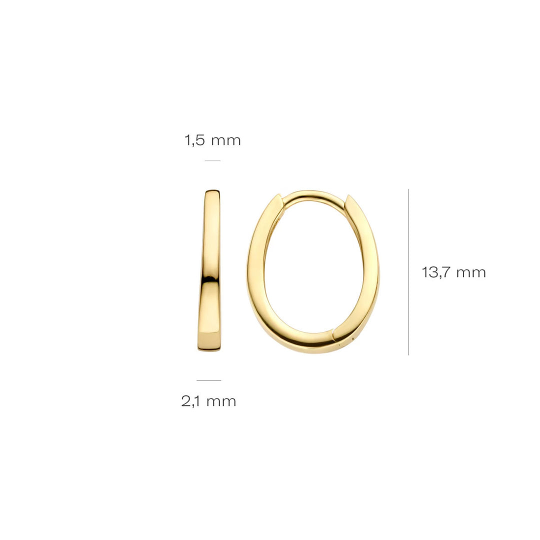 Blush Ohrringe 14k Gelbgold - 7277YGO